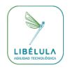 libelulaokok